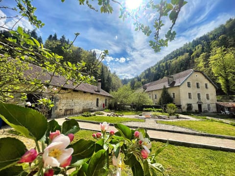 Natural landscape, Garden, Garden view