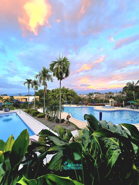 Pool view