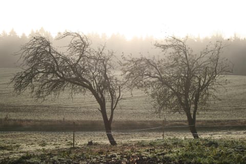 Neighbourhood, Natural landscape