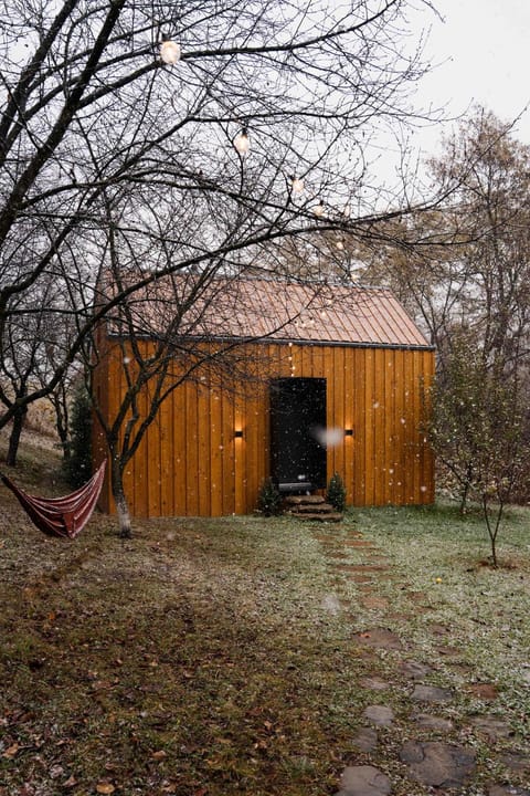 Property building, Day, Winter, Garden, Garden view