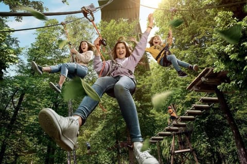 Cosy Chalet Vue & Nature Durbuy Chalet in Wallonia, Belgium