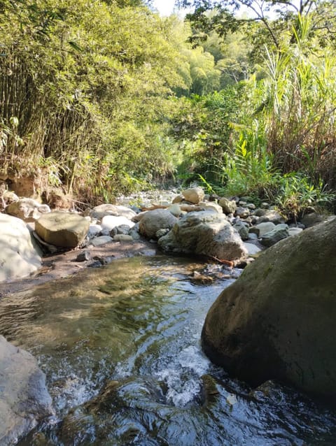 Natural landscape, River view