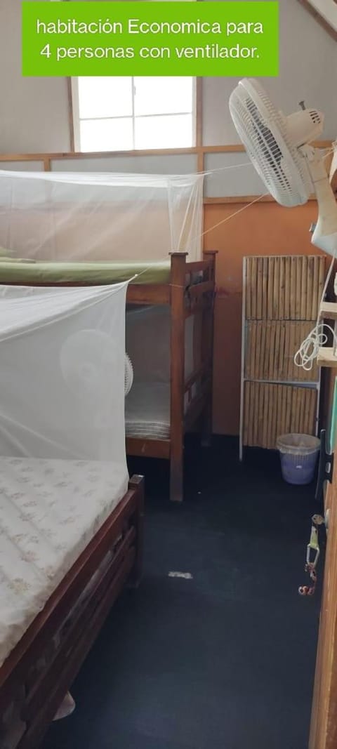 Bed, Photo of the whole room, Bedroom, bunk bed