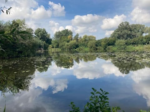 Spacious & Secluded Retreat in the Heart of Kent House in City of Canterbury