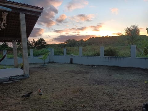 Garden, Garden view