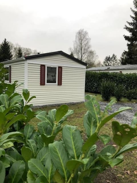 Knus chalet in de bossen van Epe met fietsen Chalet in Epe