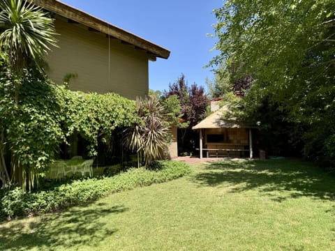 Patio, Garden, Garden view