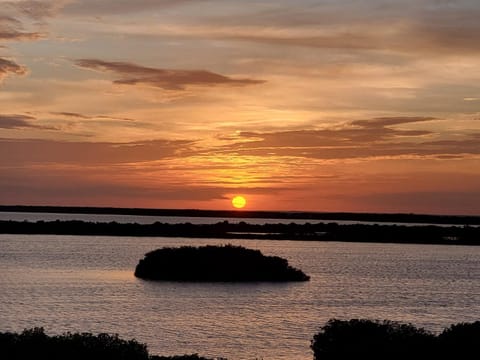 Coconuts Caribe Appartement-Hotel in Corozal District