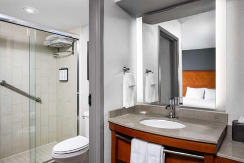 Hyatt Place Indianapolis Airport Hotel in Indianapolis