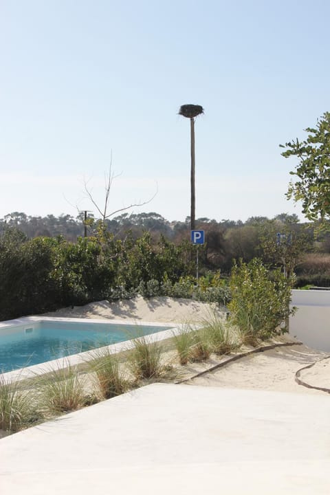 Natural landscape, Pool view, Swimming pool