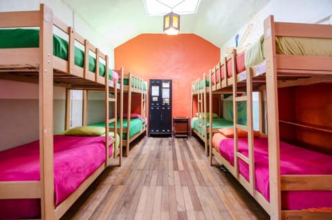 Dragonfly Hostels Cusco Hostel in Cusco