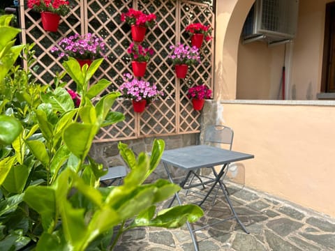 Patio, Garden, View (from property/room), Balcony/Terrace, Garden view