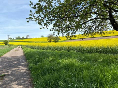 Natural landscape, Cycling