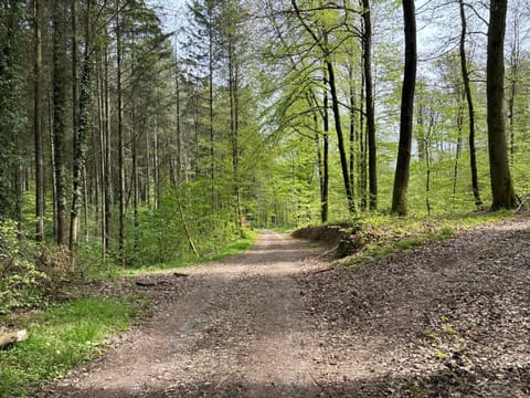 Natural landscape, Cycling