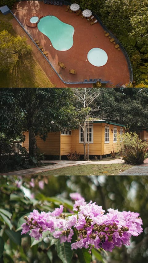 Property building, Garden, Pool view