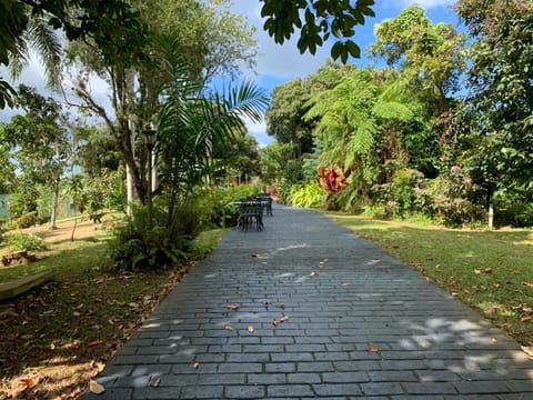 El Oasis Hotel Hotel in Puerto Rico