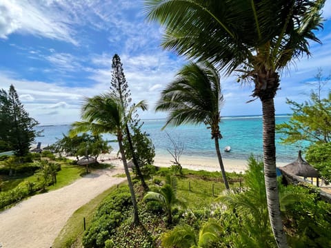 Summer beachfront apartment Apartment in Flacq District, Mauritius