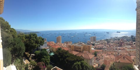 Bird's eye view, City view, Sea view