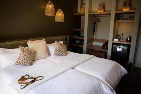 Olive Grove Guesthouse Bed and Breakfast in Windhoek