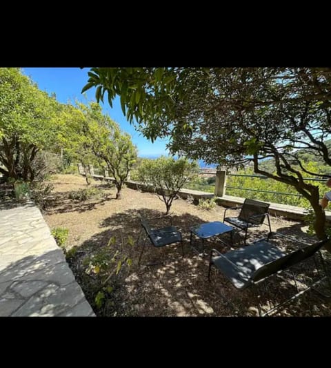 Garden, Garden view