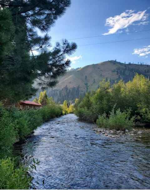 Cabin 1 at Southfork Lodge- sleeps up to 2 House in Salmon River