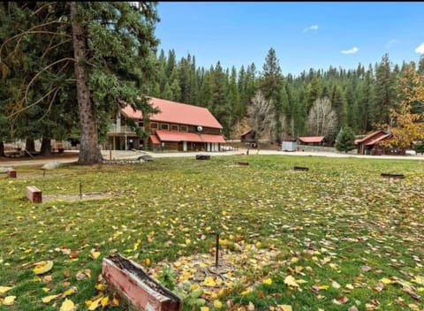 Cabin 2 at Southfork Lodge- sleeps up to 6 House in Salmon River