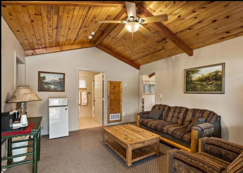 Cabin 2 at Southfork Lodge- sleeps up to 6 House in Salmon River