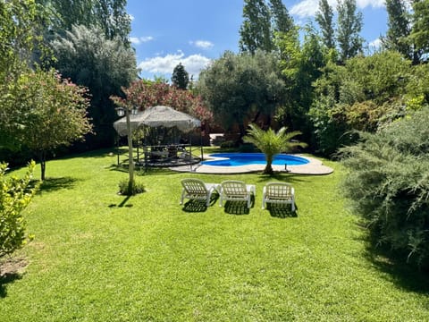 Patio, Garden, Garden view