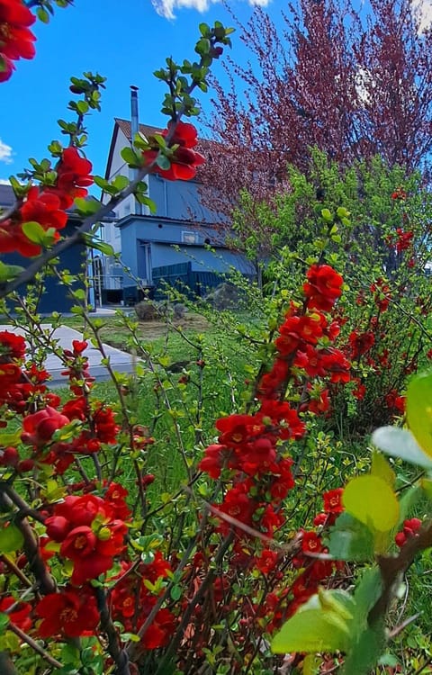 Spring, Garden