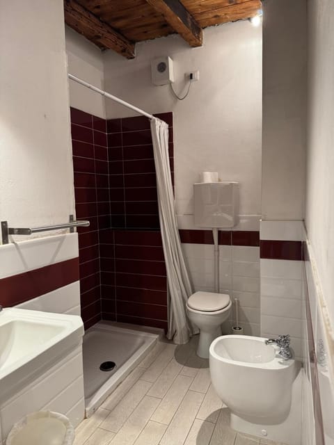 Shower, Toilet, Bathroom, bidet