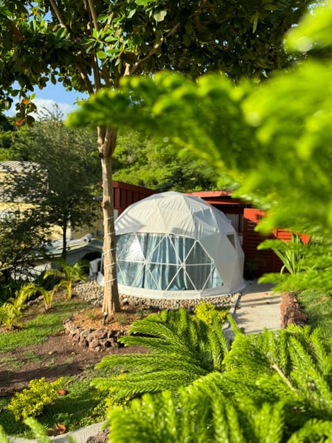 Property building, Natural landscape, Garden