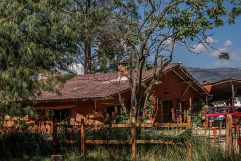 Property building, Day, Garden view