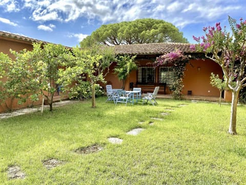 Property building, Garden view