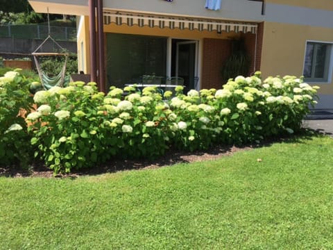 Garden, Balcony/Terrace