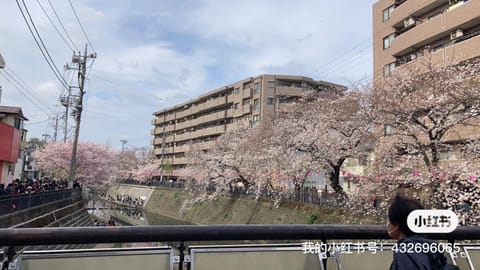 桜川別莊 Villa in Yokohama