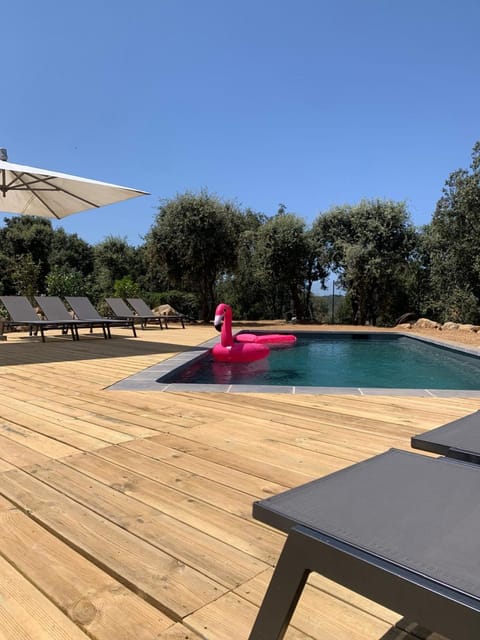 Pool view, Swimming pool, sunbed