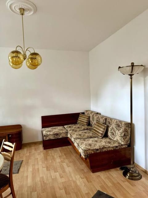 Retro Flat with Indoor Pool, Sauna, hot tub Apartment in Prague