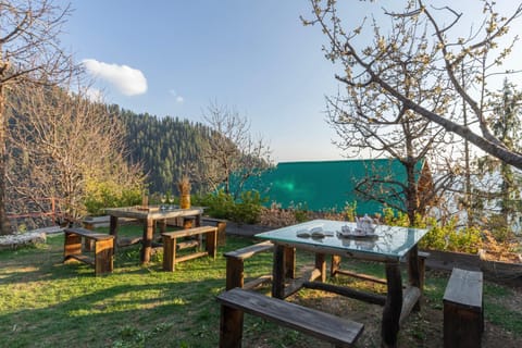 Spring, Day, Natural landscape, Garden, Dining area, Garden view