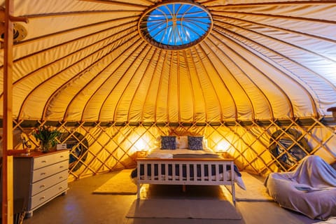 Orchard Yurt Allerford Apartment in West Somerset District