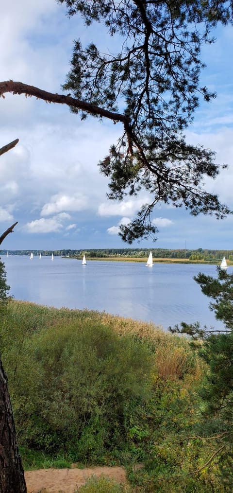 Sunny house near the beach by the bay! House in Jūrmala