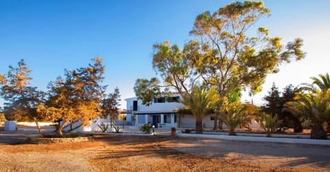 Haus Migjorn Es Cal, Terrasse mit Meerblick House in Formentera