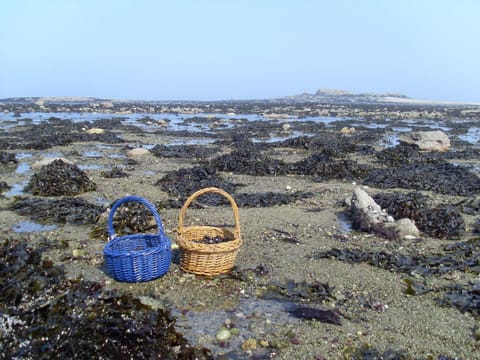 Cap sur Pen ar Valy à Plougoulm Haus in Finistere