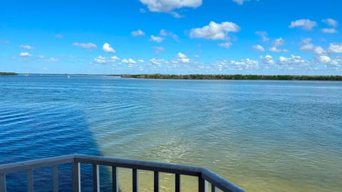 Lovers Key Resort Suite 1 - Watch Dolphins Play Apartment in Bonita Springs