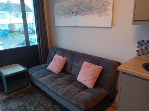 Compact one bed apartment near University of Limerick Condo in County Limerick