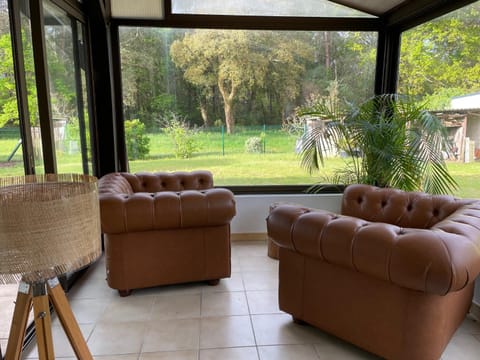 Patio, Garden view