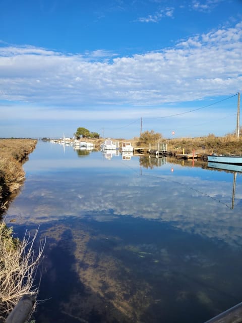 River view