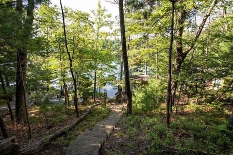 Spider Lake Oasis Beach Fire Pit Dock Private Fishing House in Spider Lake