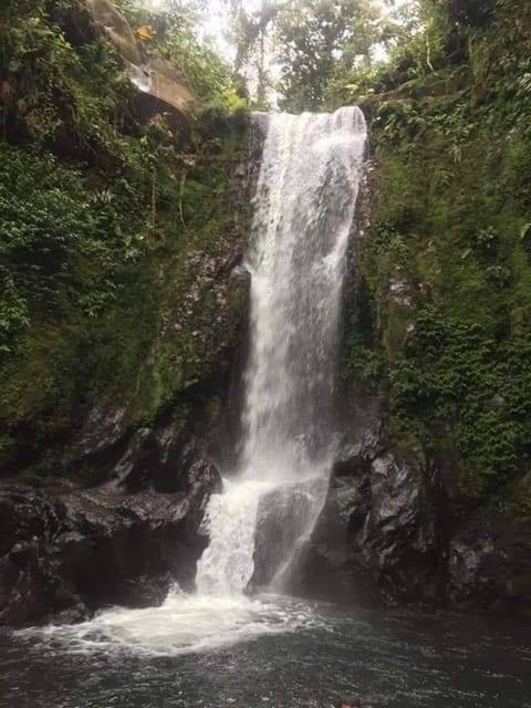 Refugio del Bosque CABAÑAS Y GLAMPING Hotel in Cartago Province, Costa Rica