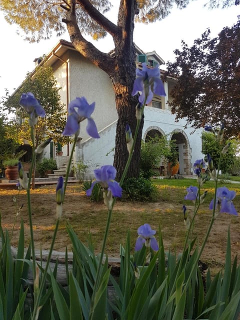 Facade/entrance, Garden