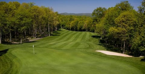 Day, Natural landscape, Golfcourse